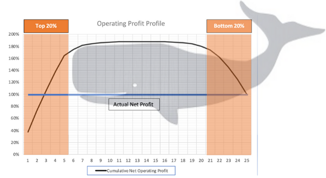 When the cumulative profitability of clients is graphed, the resulting plotted line resembles the head and torso of a whale, hence the name “whale curve.”